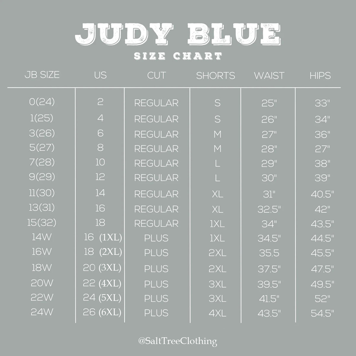 Judy Blue - High Rise Tummy Control Straight Jeans - 881000 - SaltTree
